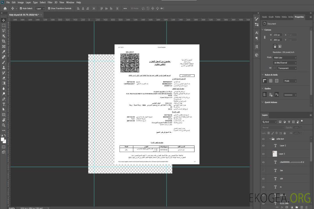 Certificat d'immatriculation de Tunis template Certificat d'immatriculation de Tunis template